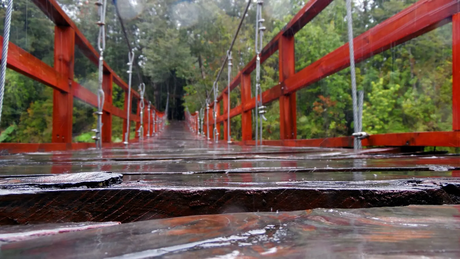 Puente colgante de madera en el acceso al Parque Nacional Hornopirén, sur de Chile