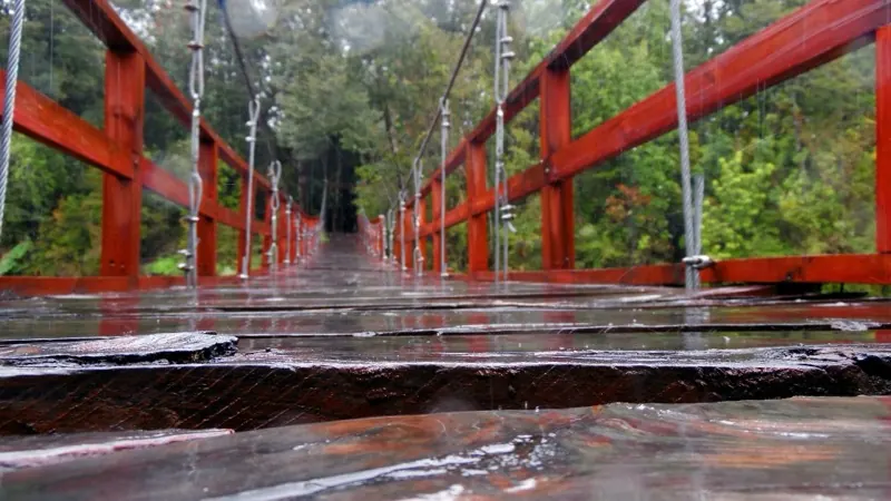 Puente colgante de madera en el acceso al Parque Nacional Hornopirén, sur de Chile