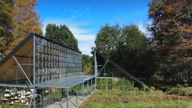 Recorrido virtual 360° del Parque Termal Botánico: palacio de cristal entre jardines y bosque nativo